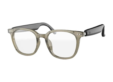 Green Lion Stockholm Smart Glasses